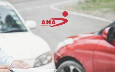 Ana Seguros